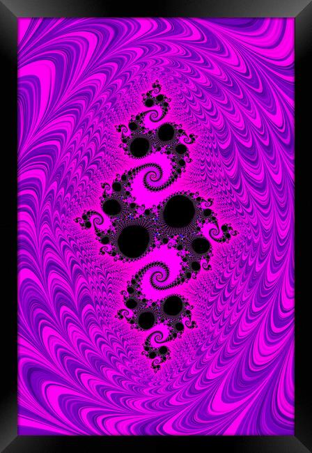 Purple Wonder Framed Print by Vickie Fiveash