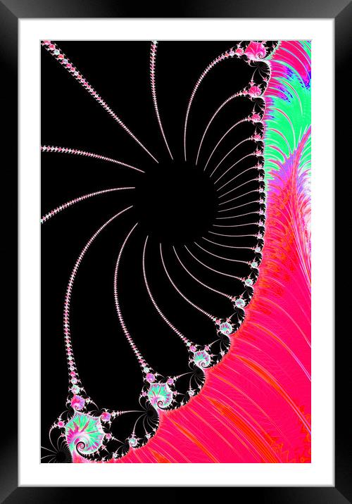 Pink Web Framed Mounted Print by Vickie Fiveash