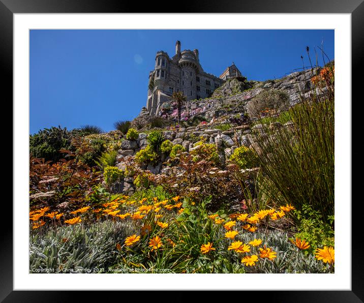 Castle Gardens at St. Michaels Mount in Cornwall, UK Framed Mounted Print by Chris Dorney