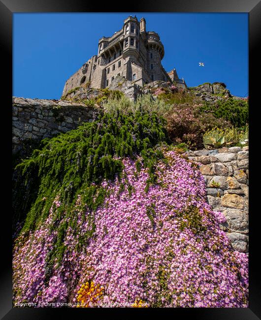 Castle Gardens at St. Michaels Mount in Cornwall,  Framed Print by Chris Dorney