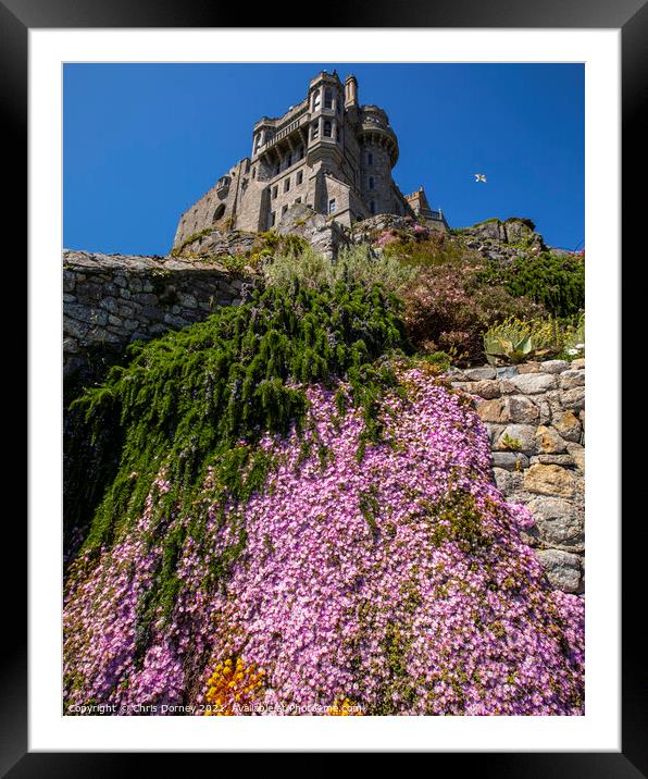 Castle Gardens at St. Michaels Mount in Cornwall,  Framed Mounted Print by Chris Dorney