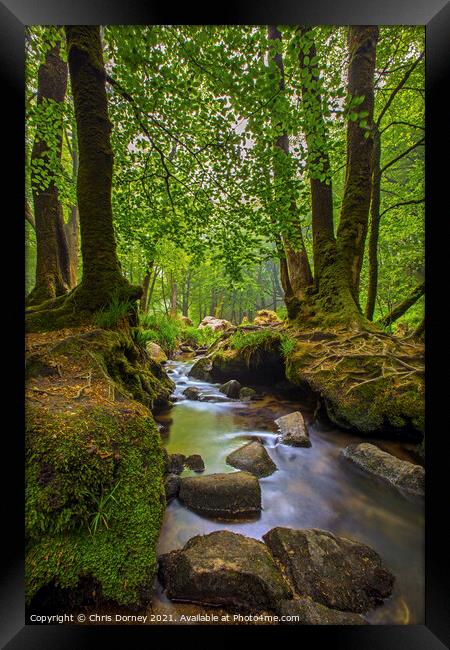 Stream off of the River Fowey in Cornwall, UK Framed Print by Chris Dorney