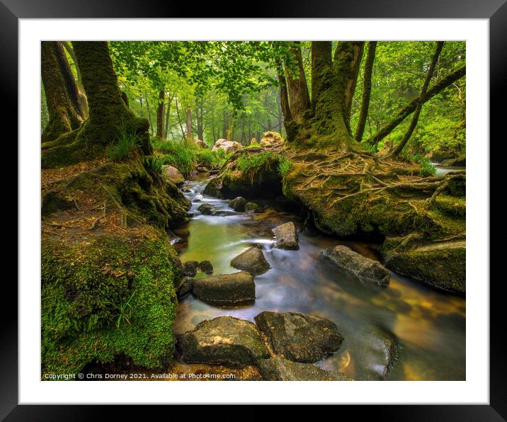 Stream off of the River Fowey in Cornwall, UK Framed Mounted Print by Chris Dorney