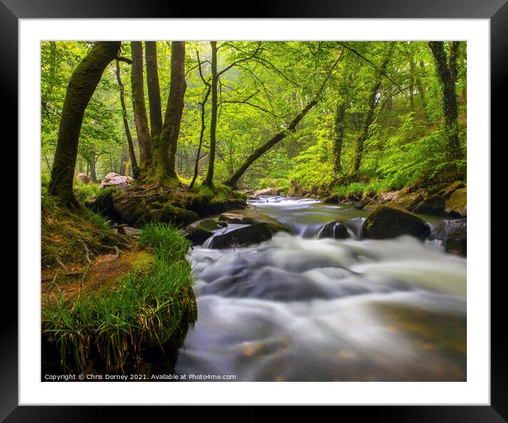 Cascade at Golitha Falls in Cornwall, UK Framed Mounted Print by Chris Dorney