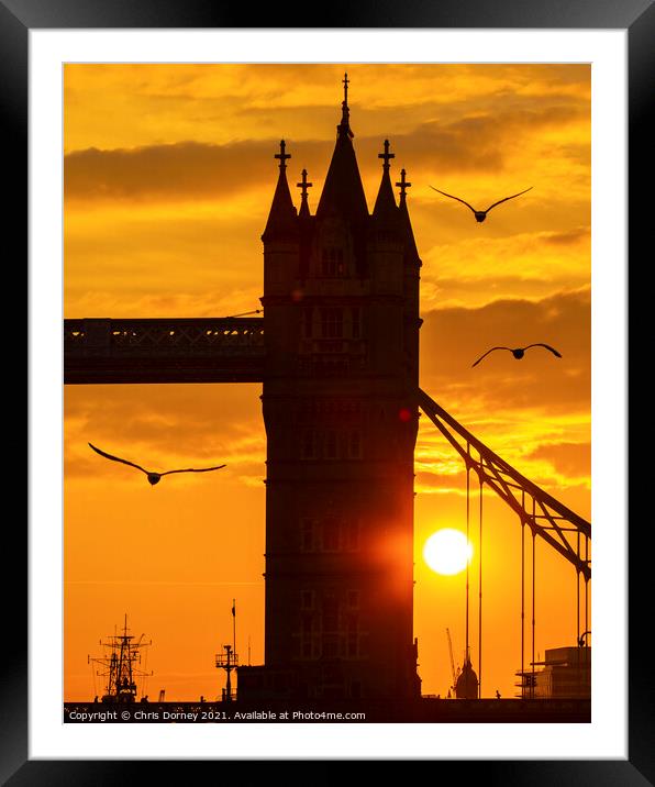 Seagulls and Tower Bridge at Dusk Framed Mounted Print by Chris Dorney