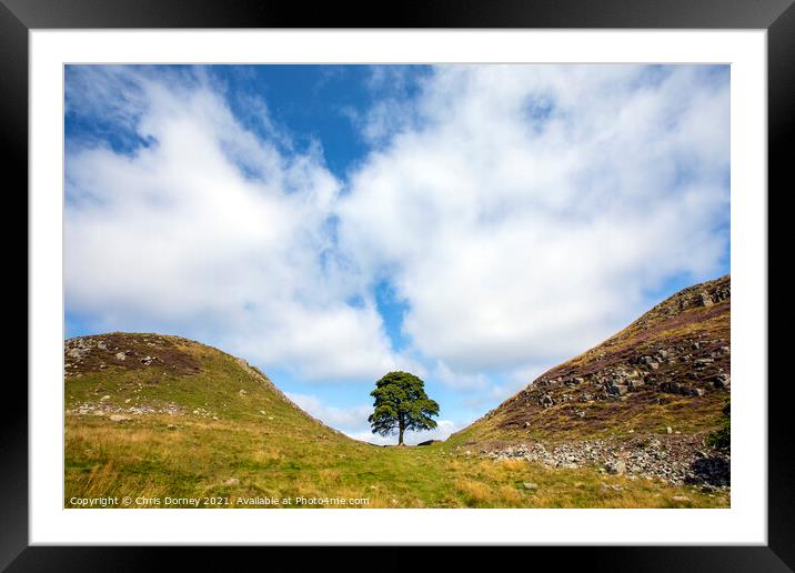 Sycamore Gap in Northumberland, UK Framed Mounted Print by Chris Dorney