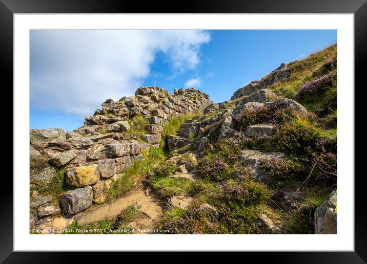 Hadrians Wall in Northumberland, UK Framed Mounted Print by Chris Dorney