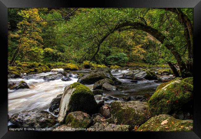 River Braan at the Hermitage in Scotland, UK Framed Print by Chris Dorney