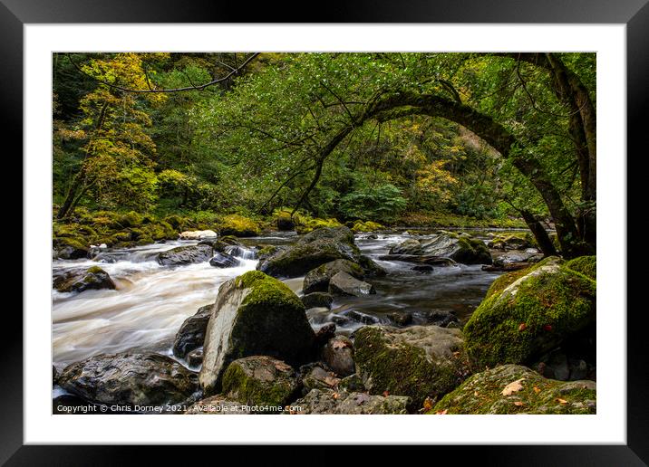 River Braan at the Hermitage in Scotland, UK Framed Mounted Print by Chris Dorney