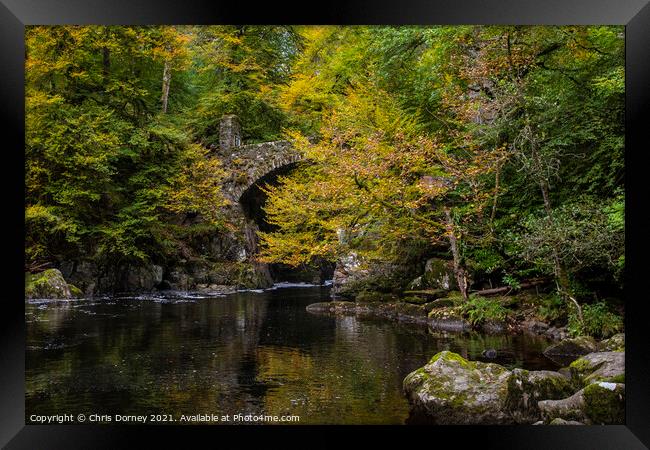 Bridge over the River Braan in the Hermitage Woodland in Scotlan Framed Print by Chris Dorney