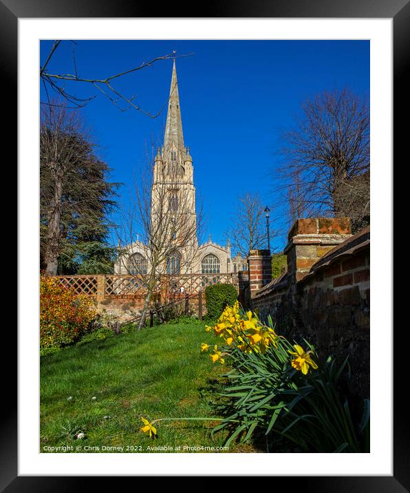 St. Marys Church and Daffodils in Saffron Walden, Essex, UK Framed Mounted Print by Chris Dorney