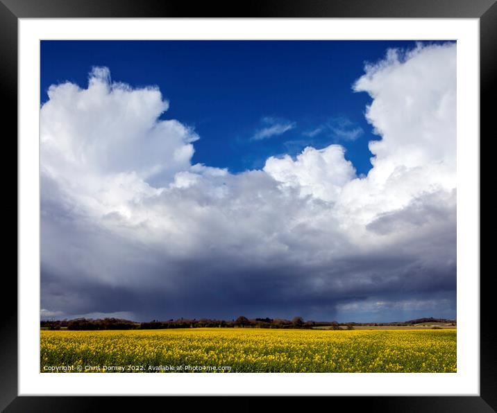 Clouds and Distant Rain Over a Field of Rapeseed in Norfolk, UK Framed Mounted Print by Chris Dorney