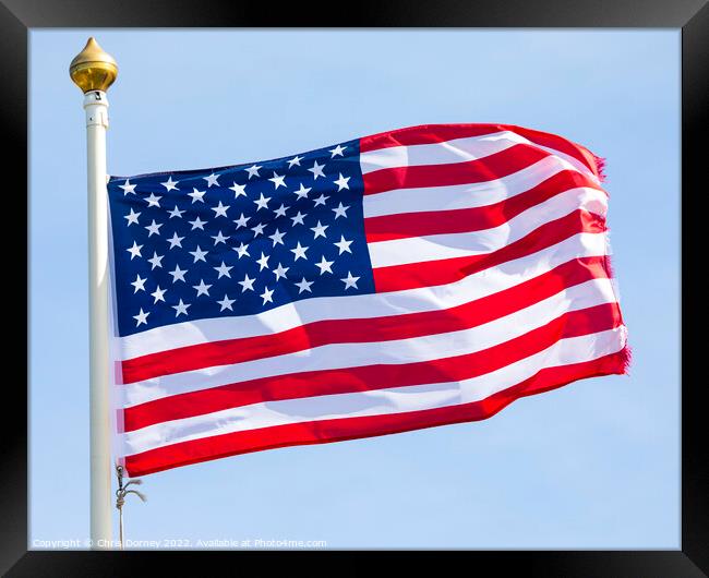 USA Flag Framed Print by Chris Dorney