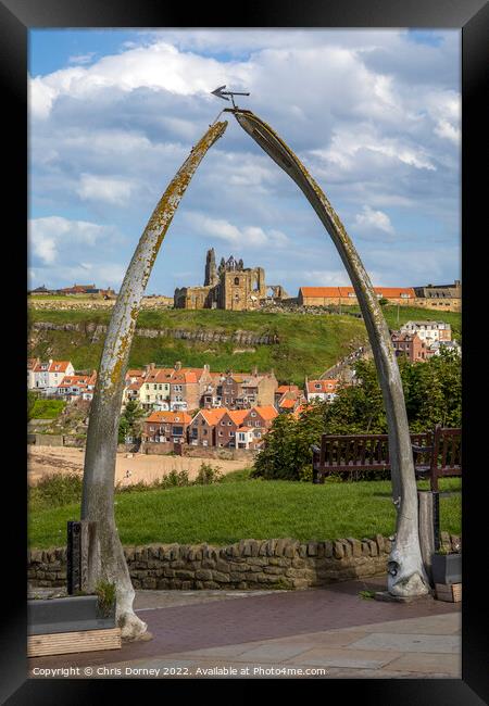 Whale Bone Arch in Whitby, North Yorkshire Framed Print by Chris Dorney