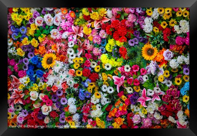 Wall of Artificial Flowers Framed Print by Chris Dorney