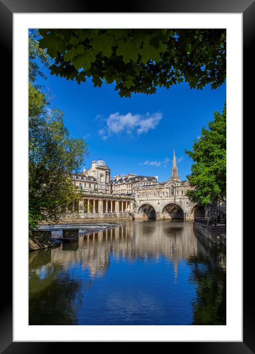 Pulteney Bridge in Bath, UK Framed Mounted Print by Chris Dorney