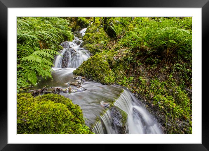 Waterfalls in Canonteign in South Devon Framed Mounted Print by Chris Dorney
