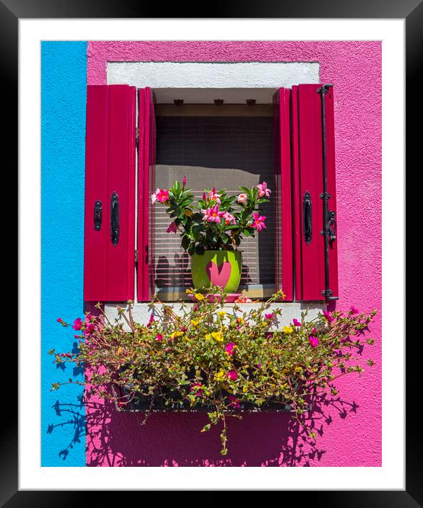 Window with Flowers in Burano Framed Mounted Print by Chris Dorney