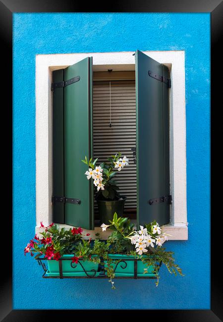 Window with Flowers in Burano Framed Print by Chris Dorney