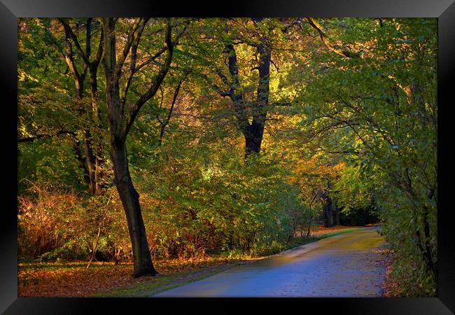 The Tiergarten in Berlin Framed Print by Chris Dorney