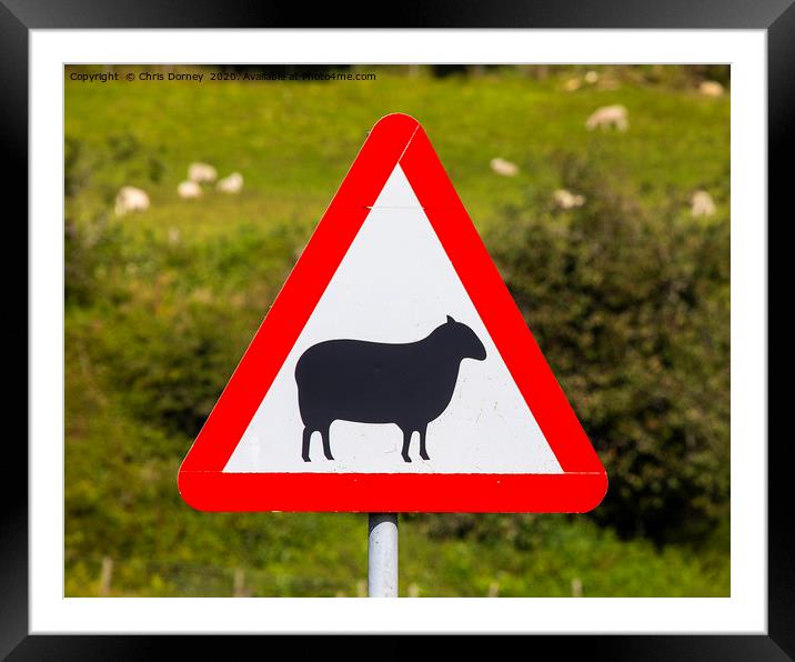 Road Sign Warning of Sheep in Wales Framed Mounted Print by Chris Dorney