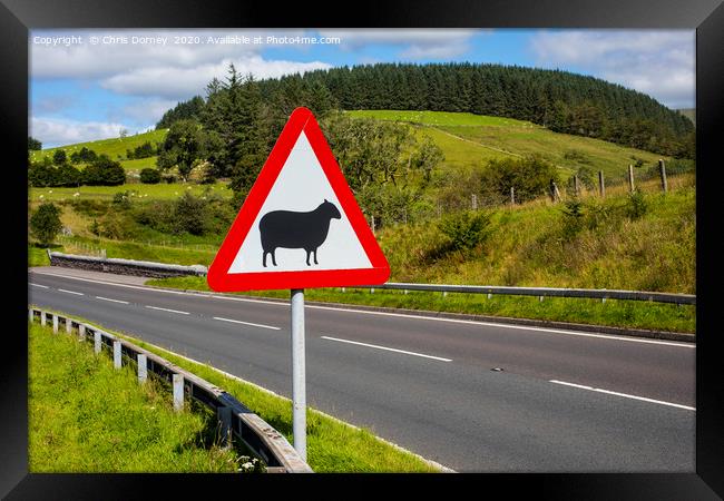 Road Sign Warning of Sheep in Wales Framed Print by Chris Dorney