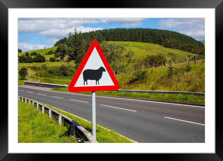 Road Sign Warning of Sheep in Wales Framed Mounted Print by Chris Dorney