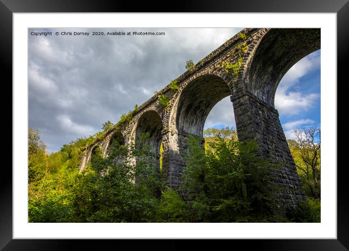 Pontsarn Viaduct in Wales, UK Framed Mounted Print by Chris Dorney