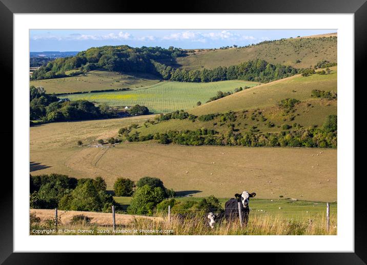 Melbury Down in Dorset, UK Framed Mounted Print by Chris Dorney