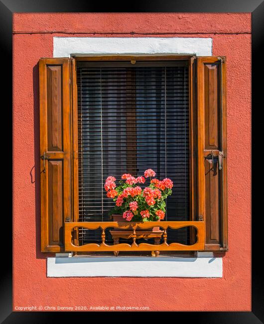 Window with Flowers in Burano Framed Print by Chris Dorney