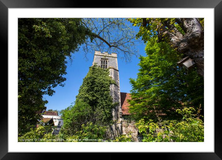 Colchester Natural History Museum Framed Mounted Print by Chris Dorney