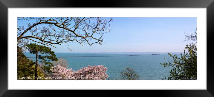 Southend Pleasure Pier in Essex Framed Mounted Print by Chris Dorney