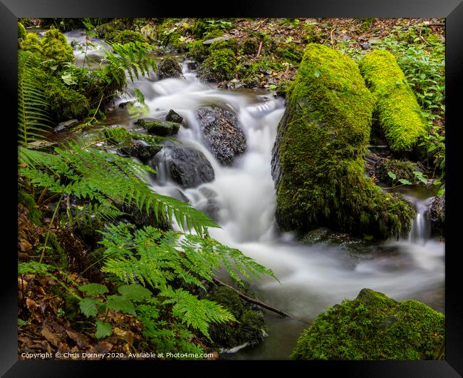 Waterfalls in Canonteign in South Devon Framed Print by Chris Dorney