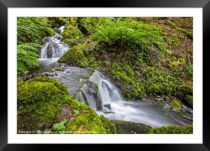 Waterfalls in Canonteign in South Devon Framed Mounted Print by Chris Dorney