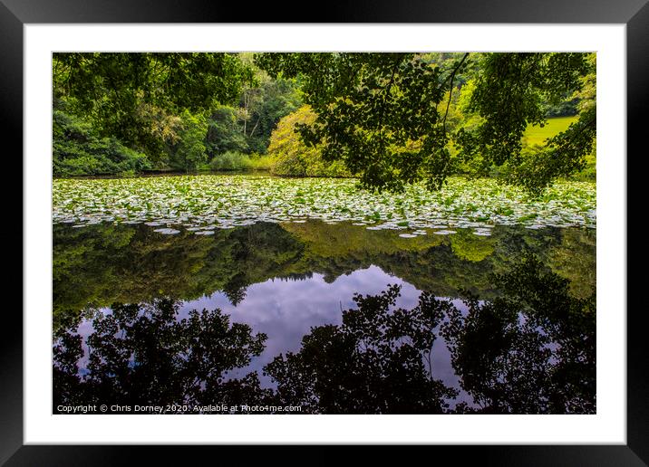 Lily Lake at Canonteign in Devon Framed Mounted Print by Chris Dorney