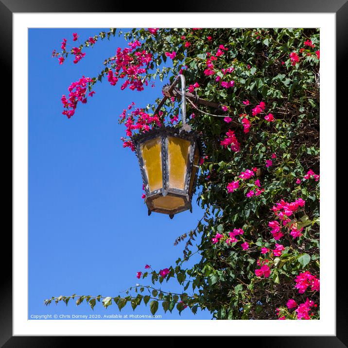 Street Lamp in Mdina Framed Mounted Print by Chris Dorney