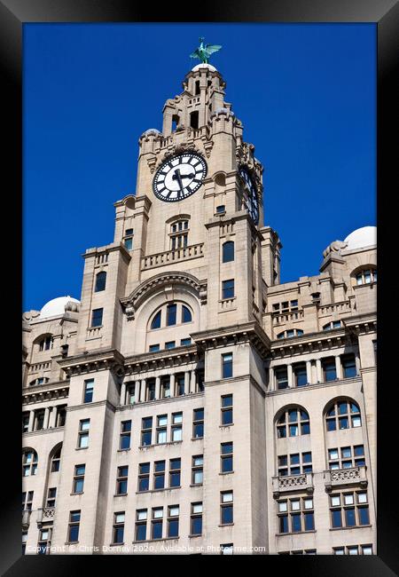 Royal Liver Building in Liverpool Framed Print by Chris Dorney