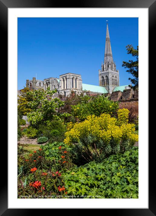 Chichester in Sussex Framed Mounted Print by Chris Dorney