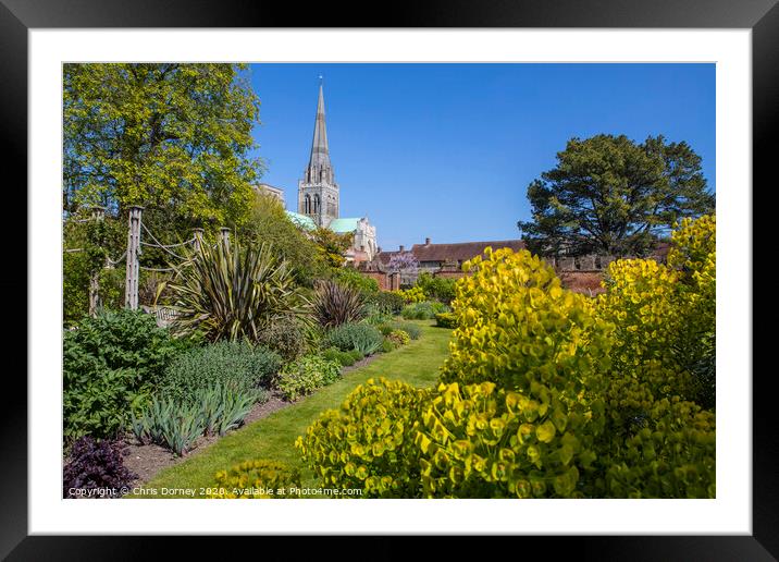 Chichester in Sussex Framed Mounted Print by Chris Dorney