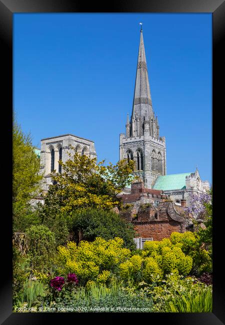 Chichester Cathedral in Sussex Framed Print by Chris Dorney