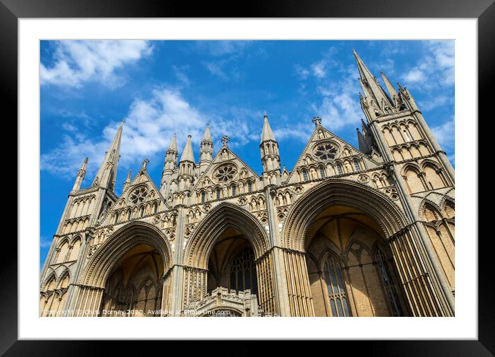 Peterborough Cathedral in the UK Framed Mounted Print by Chris Dorney
