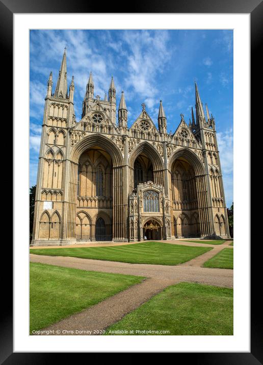 Peterborough Cathedral in the UK Framed Mounted Print by Chris Dorney