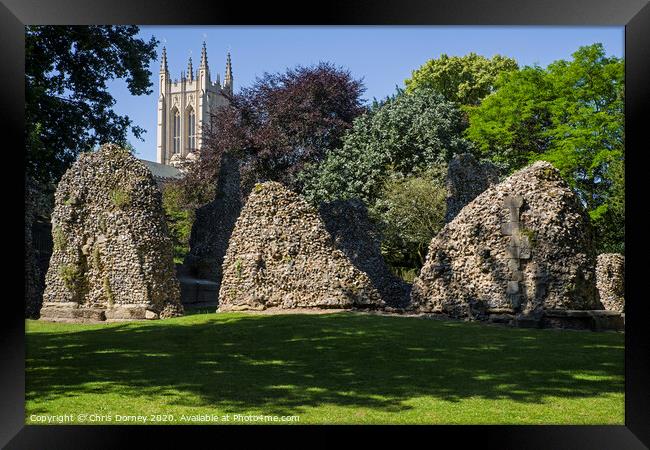 Bury St. Edmunds Abbey Remains and St Edmundsbury Cathedral Framed Print by Chris Dorney