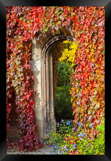 Beautiful Passageway in a Garden Framed Print by Chris Dorney