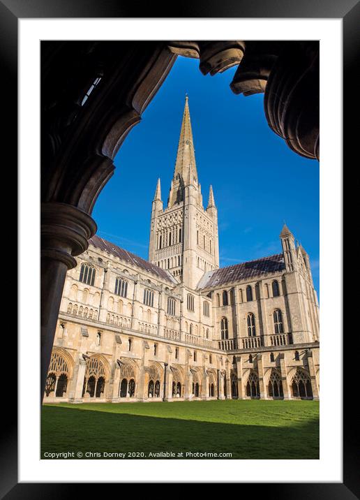 Norwich Cathedral Framed Mounted Print by Chris Dorney