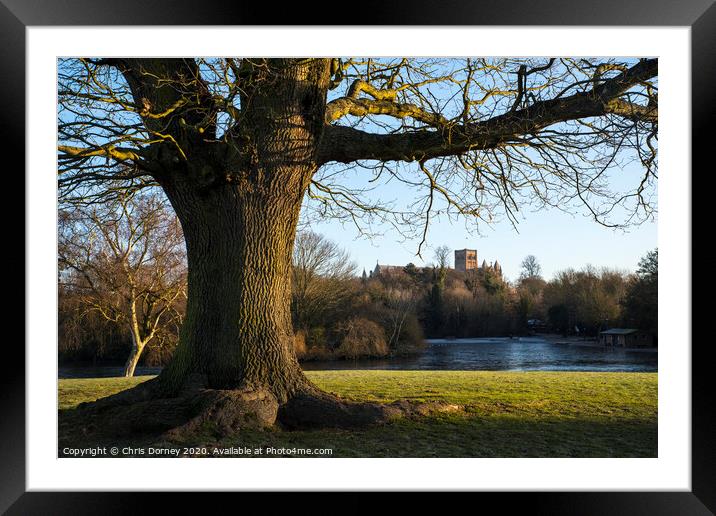 St. Albans Cathedral Viewed from Verulamium Park Framed Mounted Print by Chris Dorney
