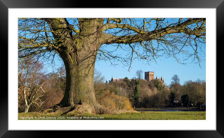 St. Albans in England Framed Mounted Print by Chris Dorney