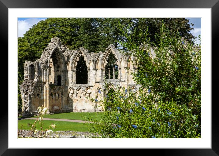 St. Mary's Abbey Ruins in York Framed Mounted Print by Chris Dorney