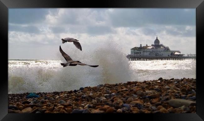 Eastbourne Seafront Framed Print by Adam Ransom