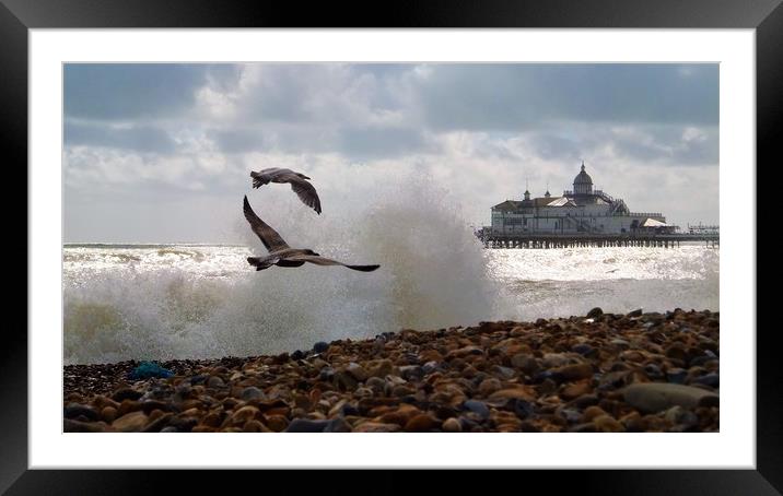 Eastbourne Seafront Framed Mounted Print by Adam Ransom